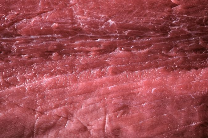 Fresh raw tuna on kitchen table