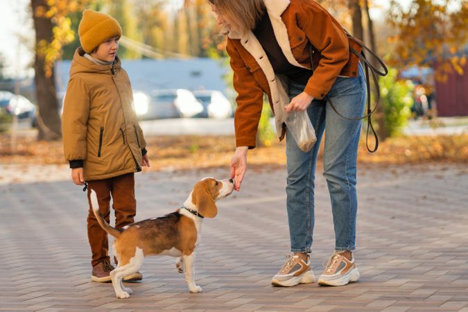 Family walks the dog