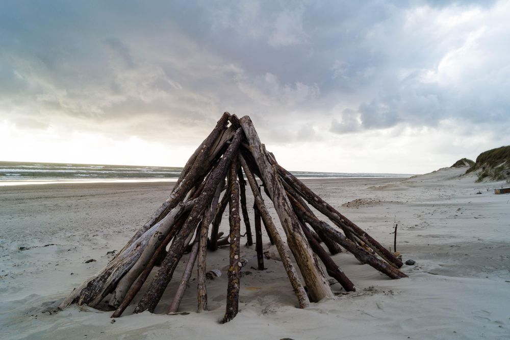 Brown wooden log on beach in Blavand, Denmark