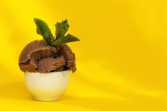 Chocolate ice cream with mint leaves