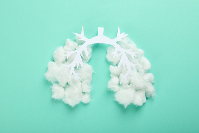 Lung bronchus made of paper and cotton on mint green background