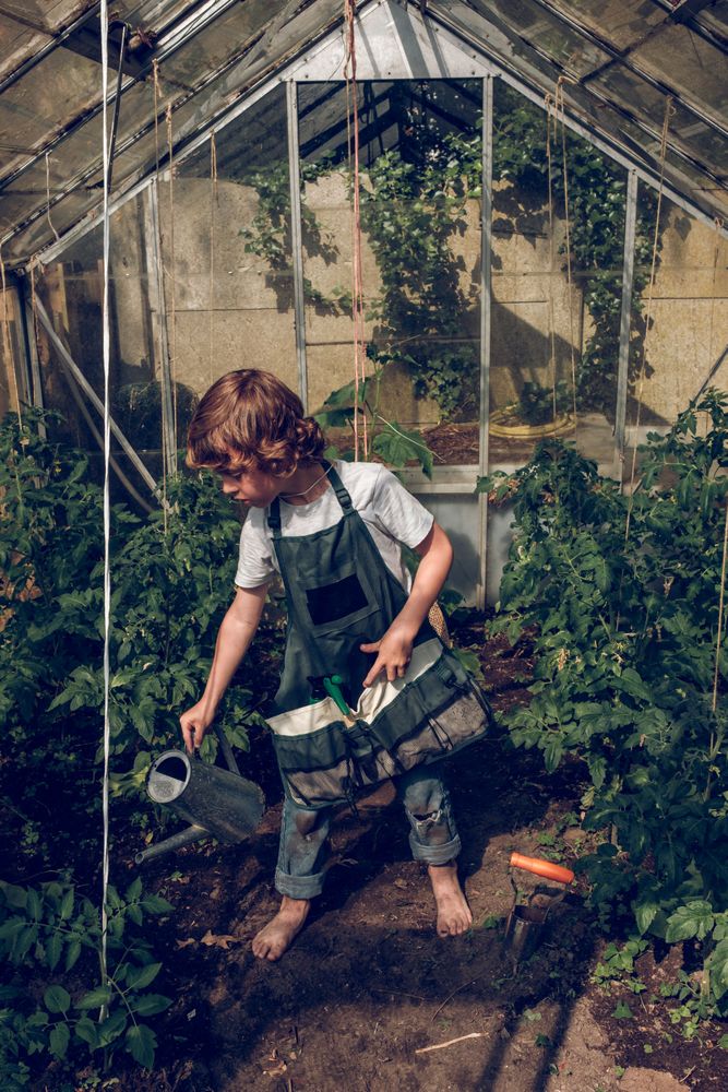 Boy watering plants in glasshouse