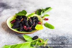 Organic mulberry in a bowl 4MGMVE