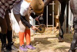 Girl cleans horse's hoof while instructor assists.