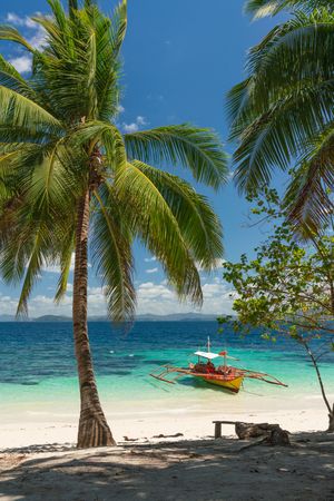 Palm and boat on tropical sandy beach