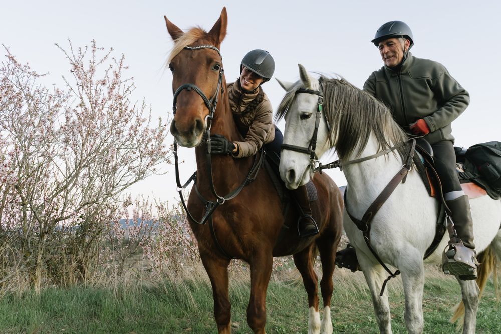 People riding horses