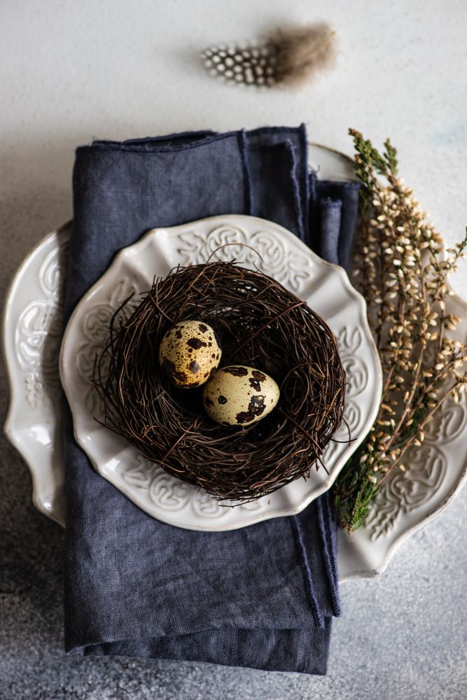 Easter spring card concept with top view of speckled eggs in decorative nest on plate