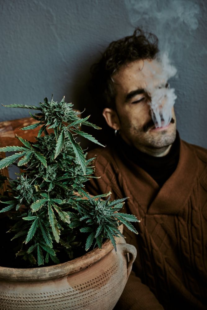 a young brown-haired man smoking next to his marijuana plant at home