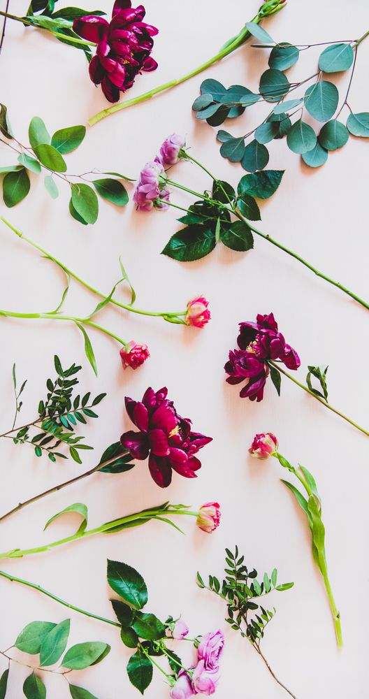 Various scattered summer flowers flat-lay, vertical composition