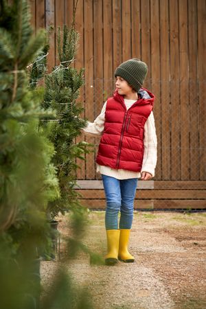 Child walking near coniferous trees