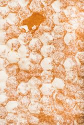 Close up, vertical composition of dry honeycomb