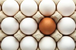 Chicken eggs in carton box as background, space for text