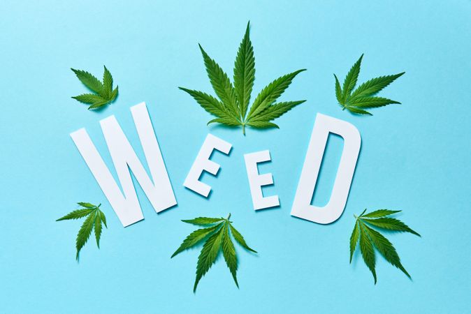 The word “Weed” on blue background surrounded by cannabis leaves