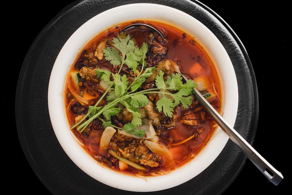 Prepared appetizing frog soup on plate