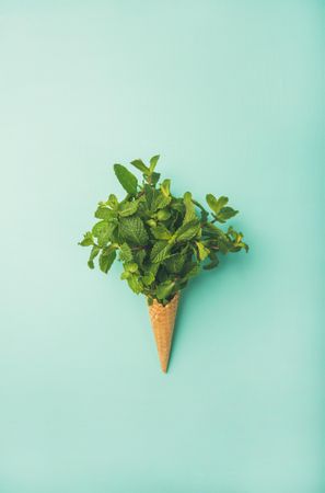 Waffle cone bursting with fresh mint leaves on a pastel green background