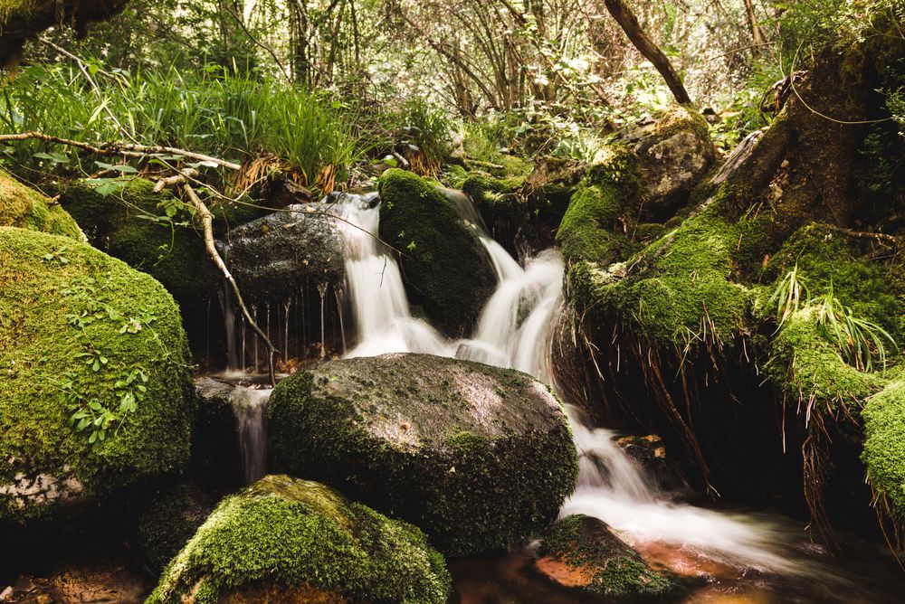 Little waterfall between stones in forest