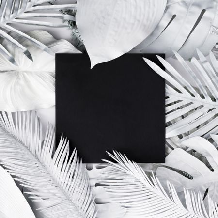 Tropical and palm leaves with square in desaturated colors