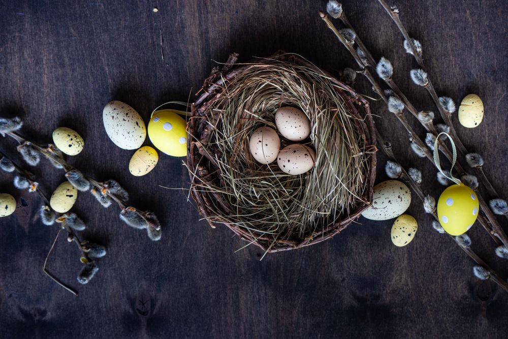 Top view of nest with eggs and pussy willow branches on wooden table