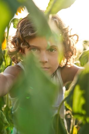 Adorable kid looking at camera through green leaves