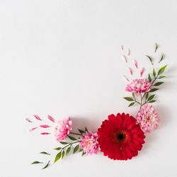 Layout made of flowers and leaves on light  background