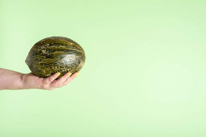 Spanish melon held in hand
