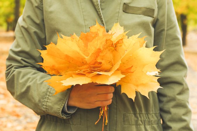Young woman hold yellow leaves in autumn park, close up
