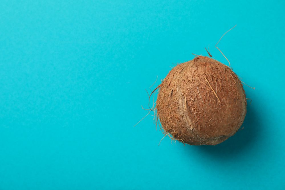 Whole coconut on blue background, top view