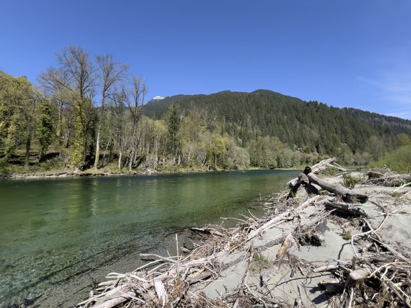 Skagit river in Washington state cascade mountains during spring season