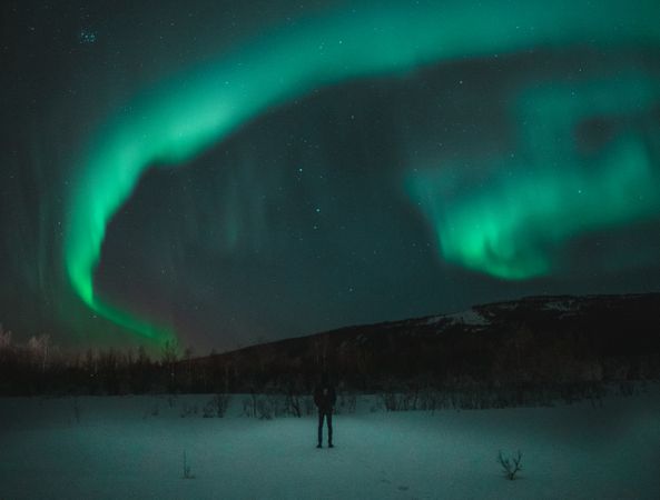Silhouette of person under green aurora lights during night time