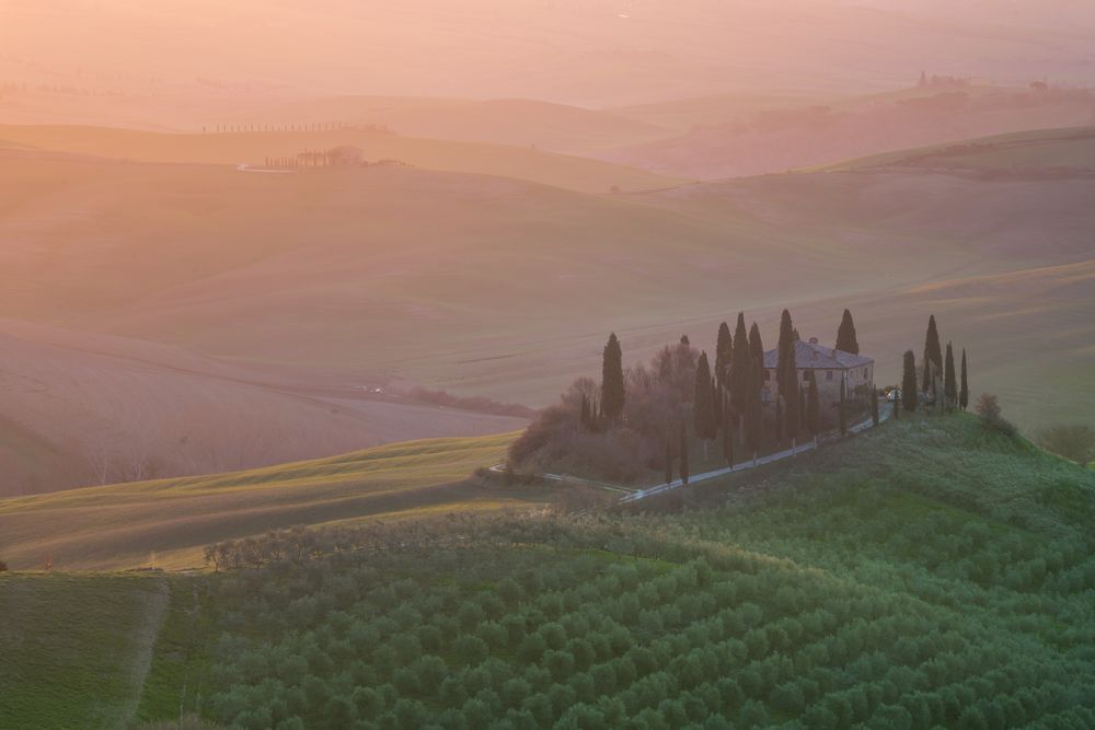 Peaceful green field at sunset