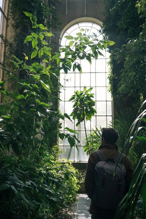 Man walking in greenhouse