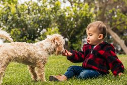 cute baby playing with a dog in a park