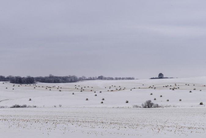 Barrels of hay on a snowy field