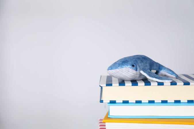 Concept of baby book, space for text