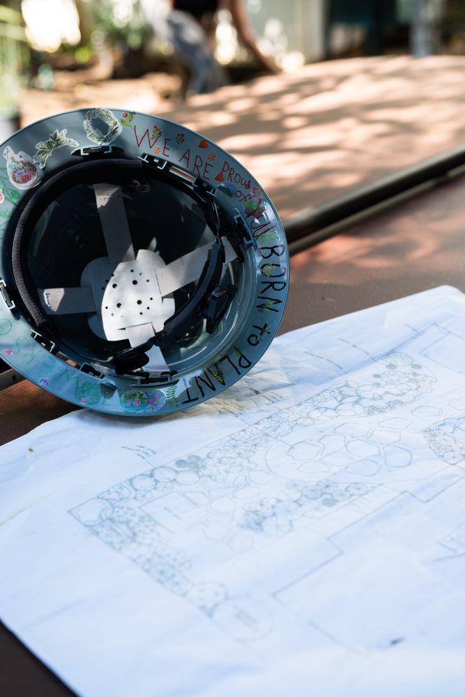 Hard hat with “born to plant” on the rim sitting outside with blue print
