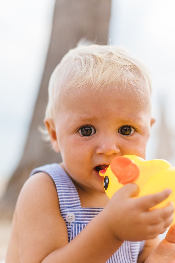 Baby boy playing with rubber ducks