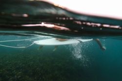 Woman on surf board floating on water