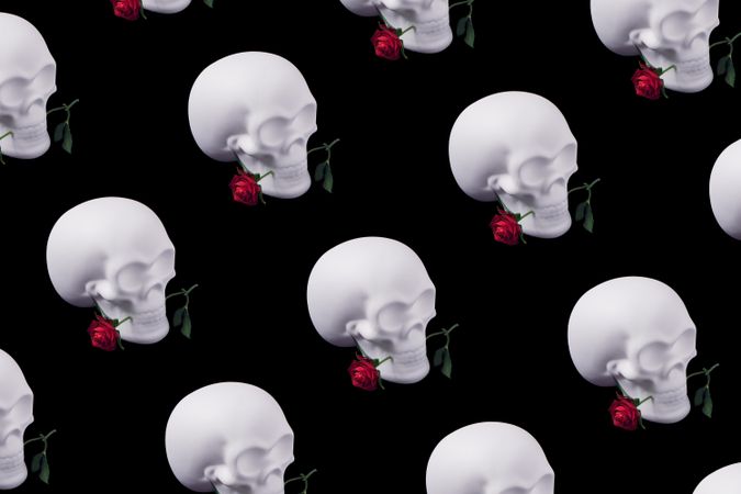 Skull pattern with rose flowers