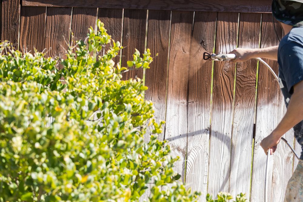 Professional Painter Spraying Yard Fence with Stain