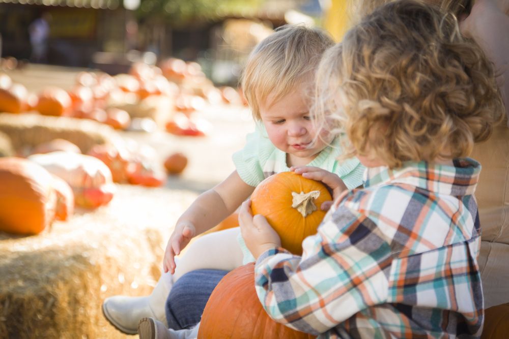 Young Family Enjoys a Day at the Pumpkin Patch