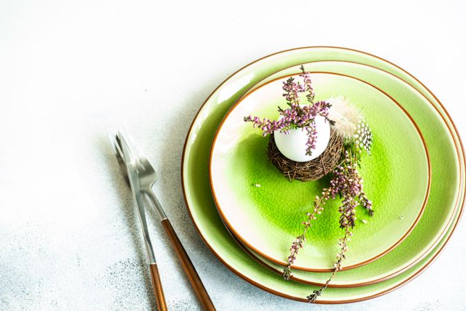Easter spring card concept with egg in small nest on bright green plate