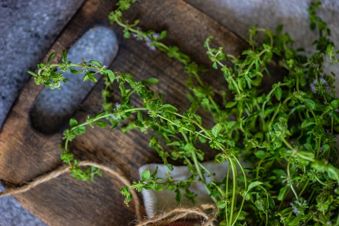 Cooking concept with marjoram on cutting board