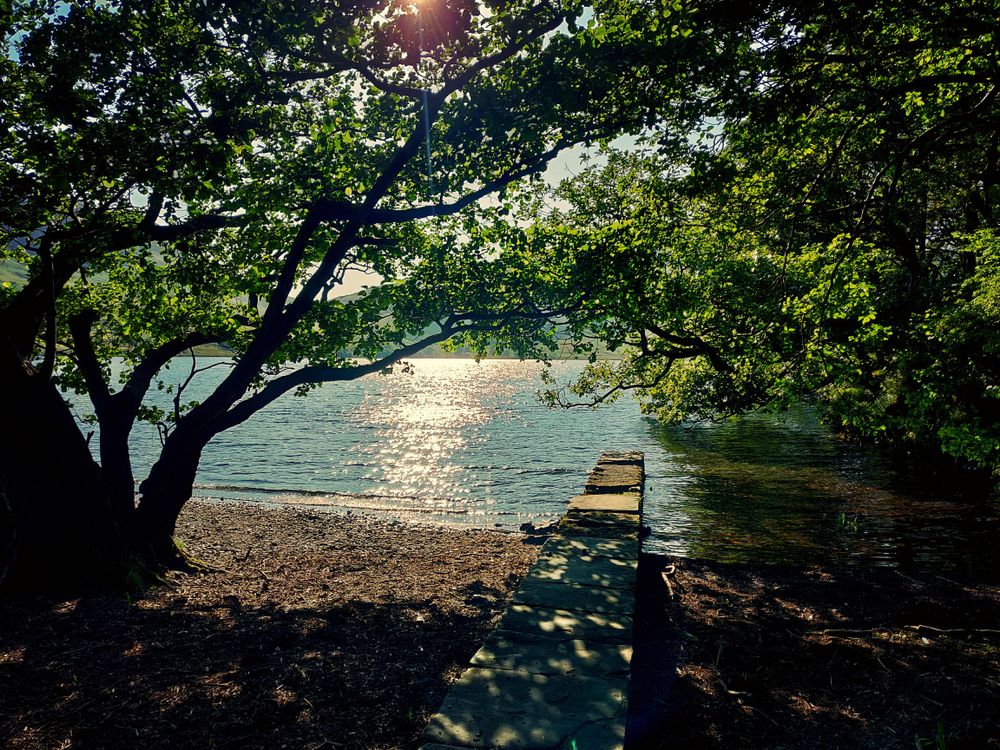 Path leading to dock under tree in Cockermouth, England, United Kingdom