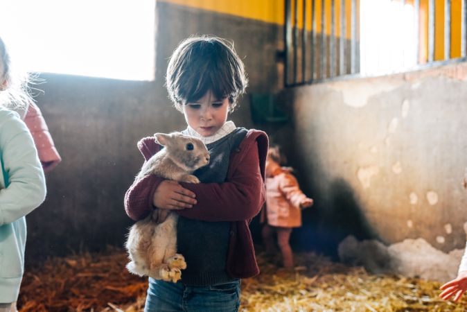 Charming little boy carrying rabbit