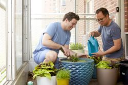 Two men taking care of green plants