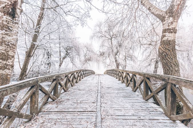 Pedestrian bridge on a winter’s day, landscape