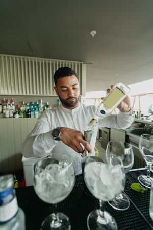 Cheerful Barman preparing alcoholic drinks in a bar.
