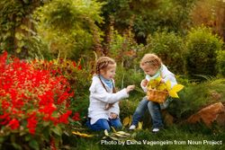 Two young blonde girls collecting autumn leaves among red hedge of flowers 4ZqBy5