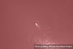 Far away aerial image of woman swimming in pink water bYArNb