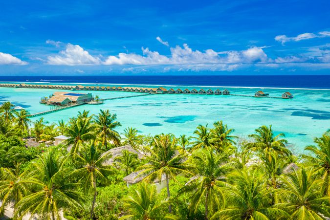 A long row of overwater bungalows in the Maldives with palm trees in the foreground